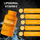 liposomal-vitamin-c-supplement-lipoquil--3.jpg