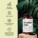 santa-cruz-paleo-creatine-capsules-suppo-4.jpg