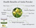 amla-fruit-powder-amalaki-100-gm-raw-and-4.jpg