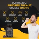 pure-sundried-himalayan-shilajit-gummy-f-2.jpg
