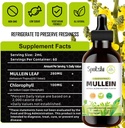 mullein-drops-for-lungs---lung-detox-for-2.jpg