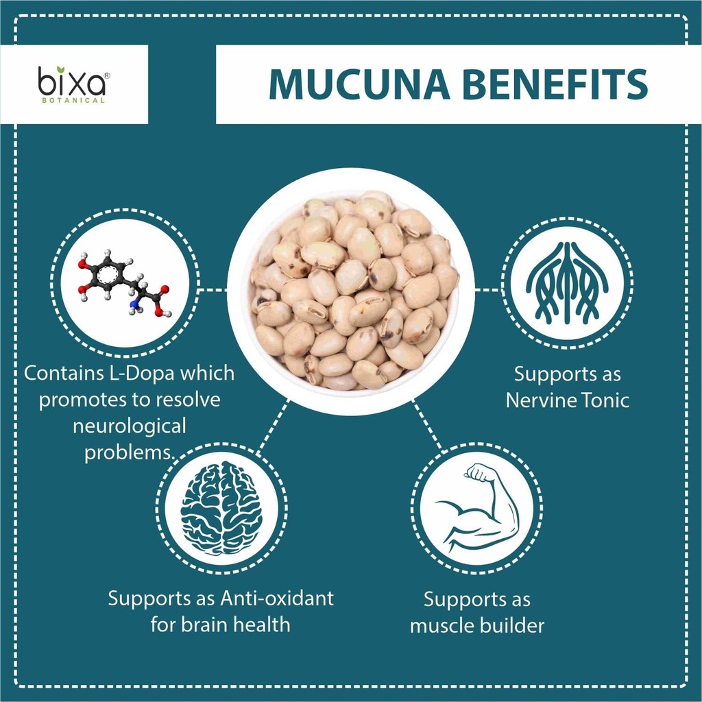 bixa-botanical-mucuna-pruriens-powder-ve-2.jpg