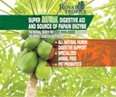 royal-tropics-green-papaya-powder-enzyme-2.jpg