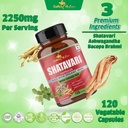 organic-shatavari-powder-capsules-2250mg-6.jpg