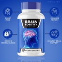 rize-labs-brainfortify-supplement-brainf-6.jpg
