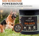 balance-probiotic-blend-for-dogs-by-alph-5.jpg
