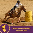 horse-health-joint-combo-classic-an-unbe-4.jpg