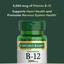 natures-bounty-vitamin-b12-supports-ener-3.jpg