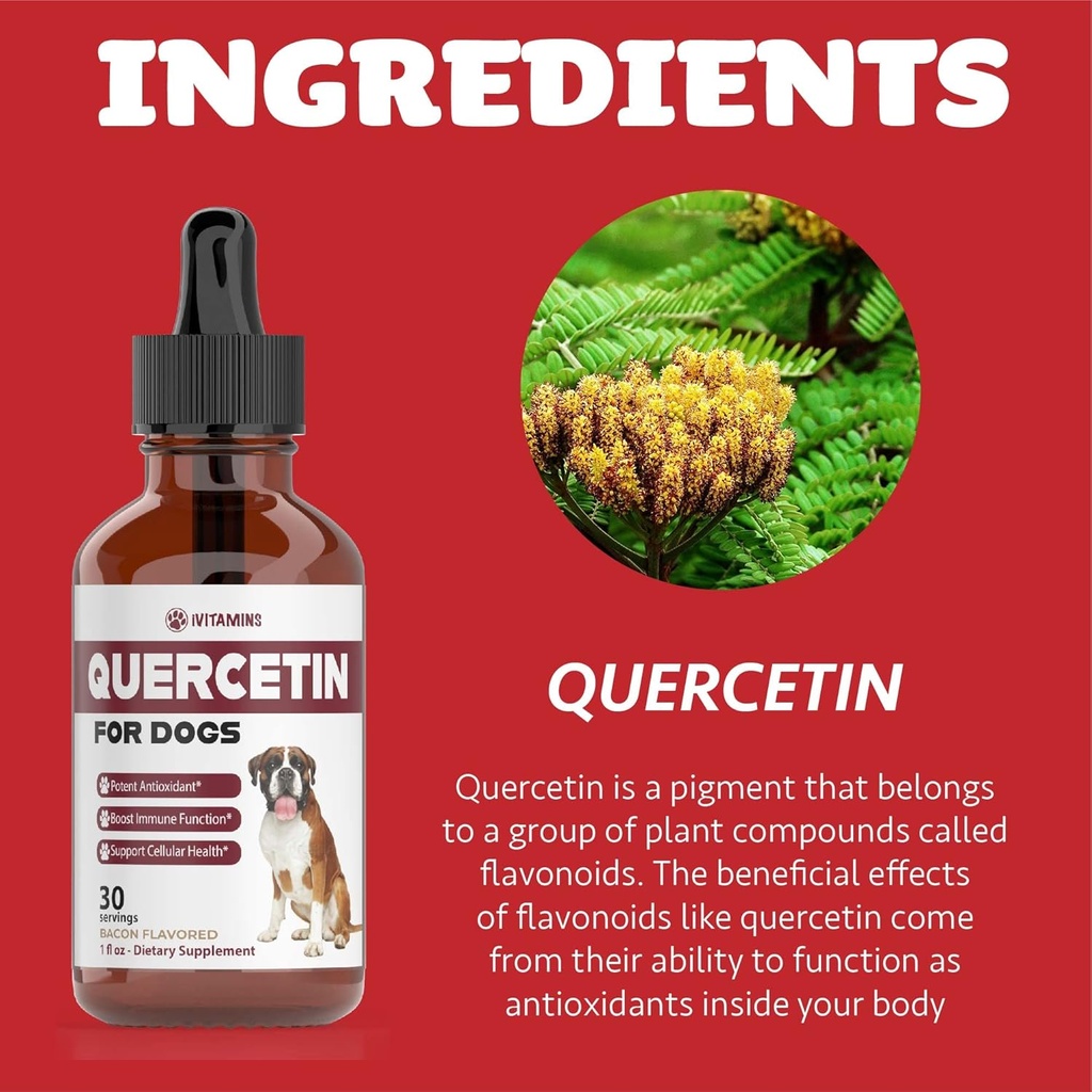 quercetin-for-dogs-dog-allergy-relief-qu-5.jpg