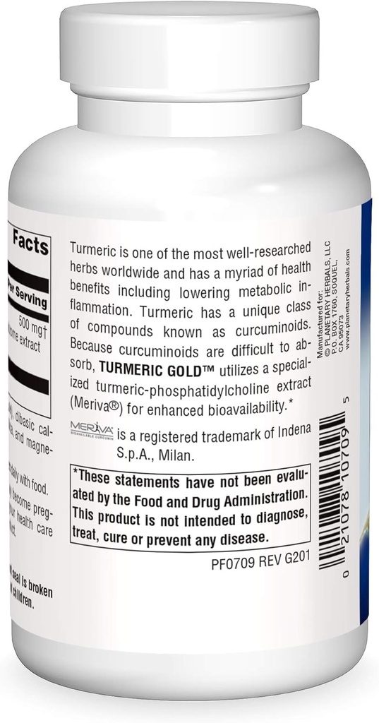 planetary-herbals-turmeric-gold-500-mg-1-2.jpg