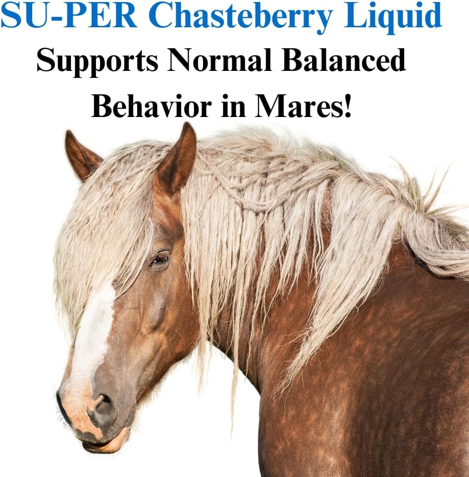 su-per-chasteberry-supplement-for-horses-2.jpg