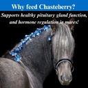 su-per-chasteberry-supplement-for-horses-4.jpg
