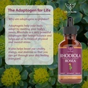 rhodiola-rosea-tincture---rhodiola---rho-4.jpg