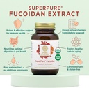 pure-synergy-superpure-fucoidan-extract--3.jpg
