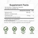 berberine-supplement-with-yohimbine-500m-4.jpg