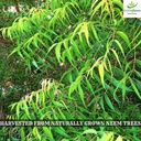 ceylonflavors-fresh-and-pure-dried-neem--6.jpg