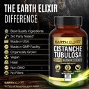 earth-elixir-cistanche-tubulosa-400-mg-1-5.jpg