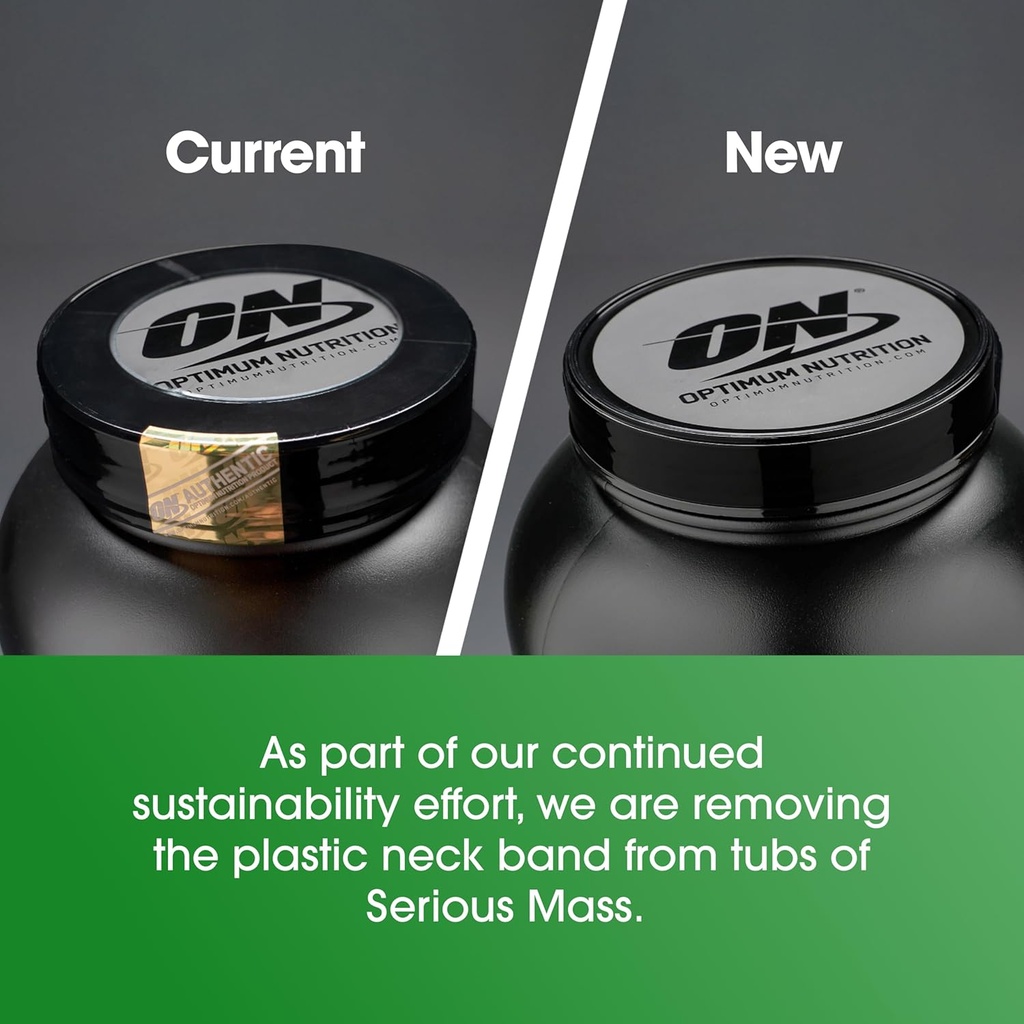 optimum-nutrition-serious-mass-weight-ga-4.jpg