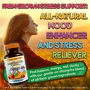 stress-mood-energy-support---ashwagandha-4.jpg