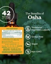 herb-pharm-osha-root-liquid-extract-for--2.jpg