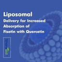 liposomal-fisetin-with-quercetin-supplem-4.jpg