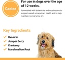 vet-classics-urinary-tract-dog-supplemen-5.jpg
