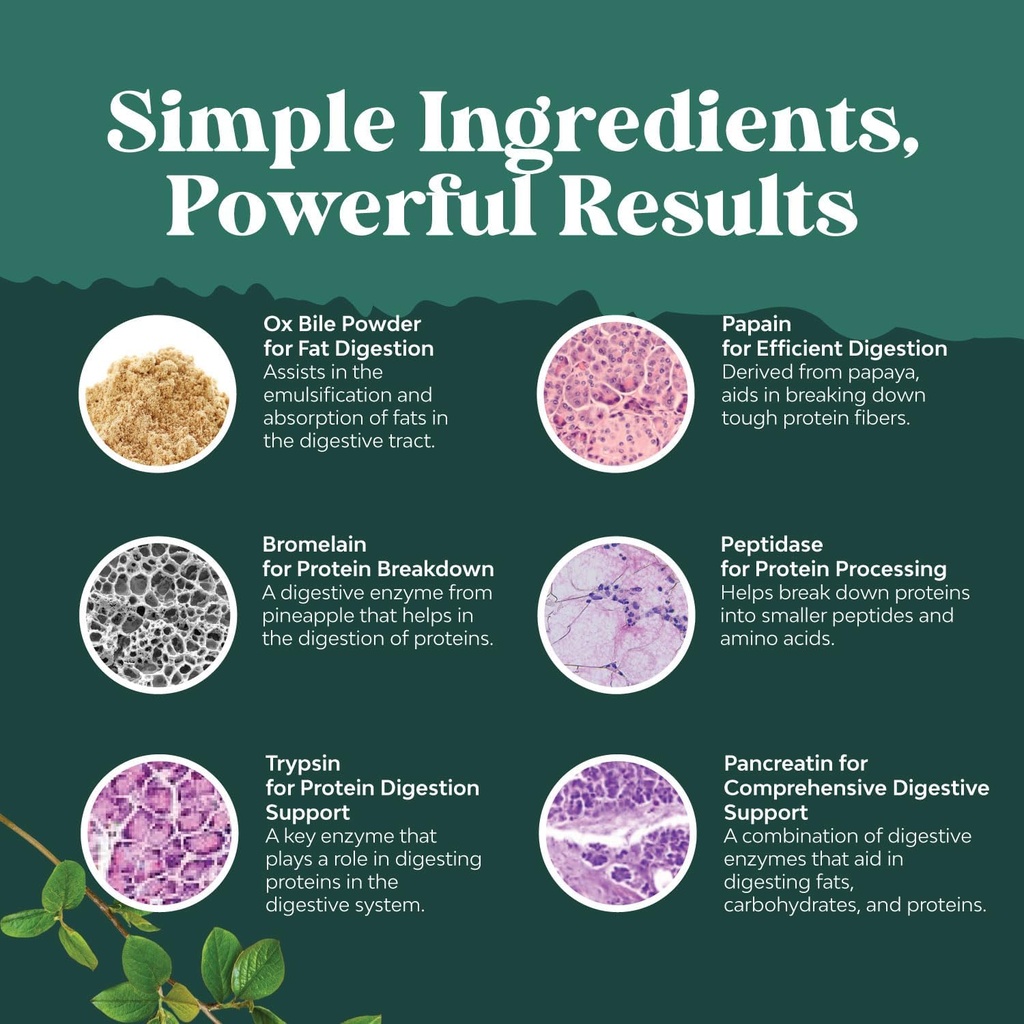 digestive-enzymes-with-ox-bile---ox-bile-6.jpg