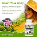 bioactive-nutrients-olive-leaf-extract-s-6.jpg