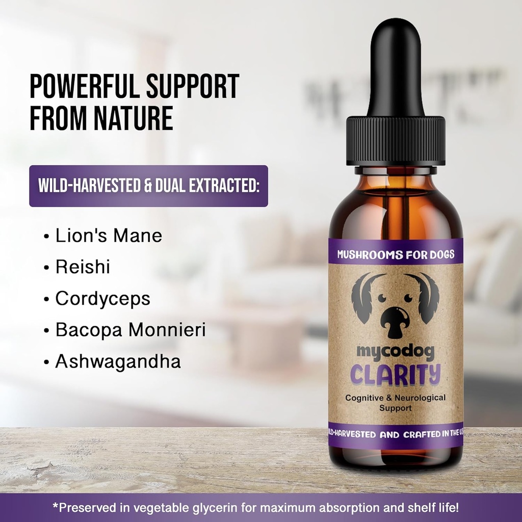 mycodog-clarity---cognitive-support-supp-4.jpg