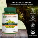 pure-nutrition-amla-extract-1000mg-equiv-2.jpg