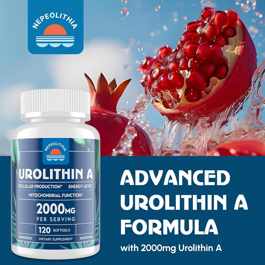 urolithin-a-2000mg-4.jpg