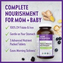 new-chapter-perfect-prenatal-vitamins-or-3.jpg