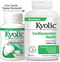 kyolic-aged-garlic-extract-formula-100-c-3.jpg