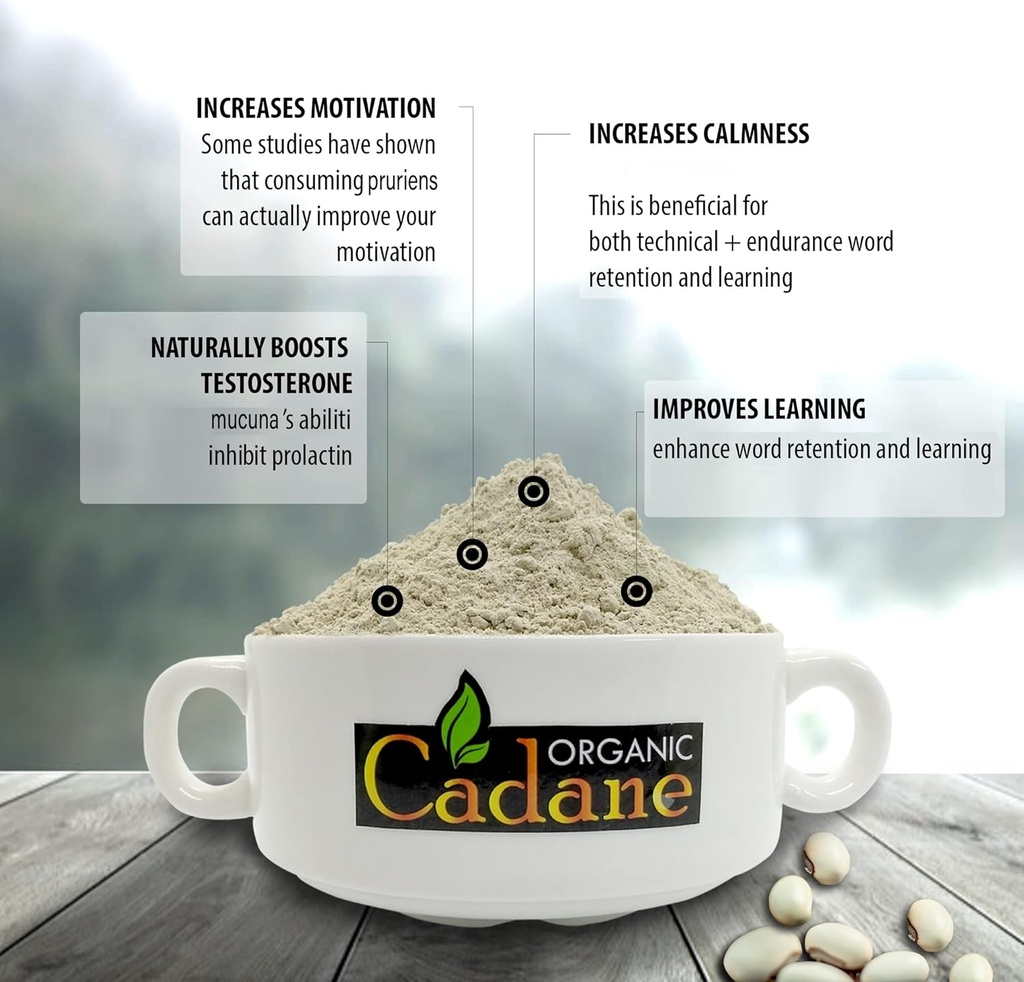 organic-cadane-mucuna-pruriens-powder-1--3.jpg