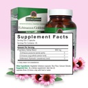 natures-answer-echinacea-goldenseal-diet-3.jpg