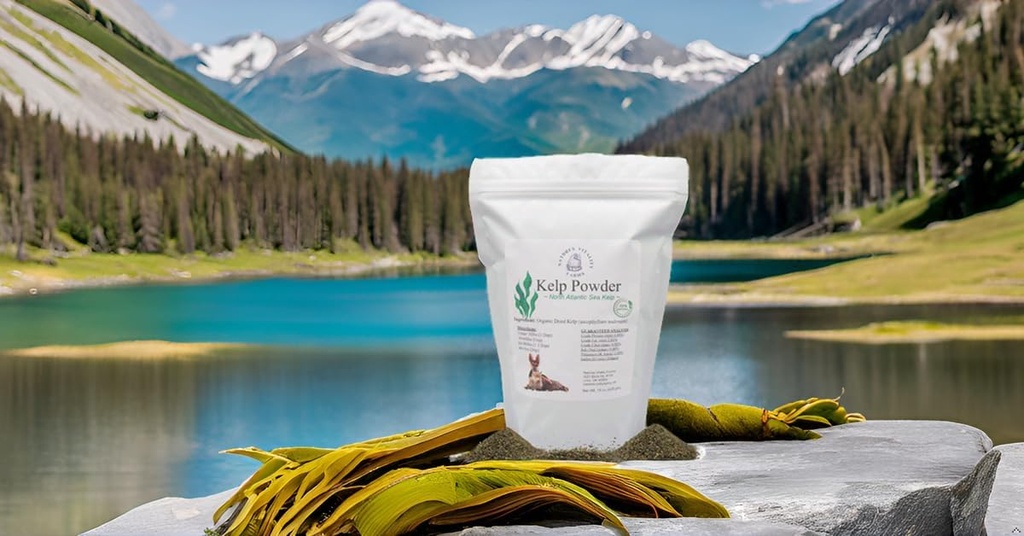 kelp-powder-for-dogscats-natural-north-a-4.jpg