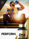 carlyle-zma-supplement-for-men-women-240-6.jpg