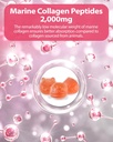 myni-collagen-gummies-12-count---marine--3.jpg