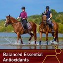 vita-flex-pro-e-and-horse-selenium-suppl-5.jpg