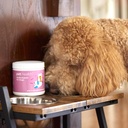 pet-health-multivitamin-formula-for-dogs-2.jpg