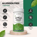 amla-fruit-capsules-500mg-concentrated-1-6.jpg