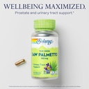 solaray-saw-palmetto-berry-580-mg-health-3.jpg