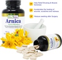 arnica-montana-capsules-500mg-100-capsul-5.jpg