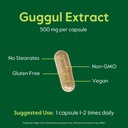 guggul-extract-500mg-120-vegetarian-caps-5.jpg