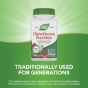 natures-way-herbal-hawthorn-berries-trad-4.jpg