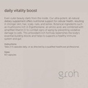 groh-daily-vitality-boost---all-natural--3.jpg