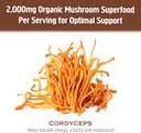 om-mushroom-cordyceps-powder-705-oz-100--4.jpg