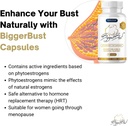capsules---breast-enlargement-and-firmin-5.jpg