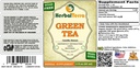 herbal-terra-llc-green-tea-camellia-sine-2.jpg