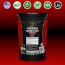 fadogia-agrestis-extract-pills-maximum-s-4.jpg